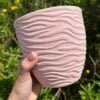 Maceta Rosa