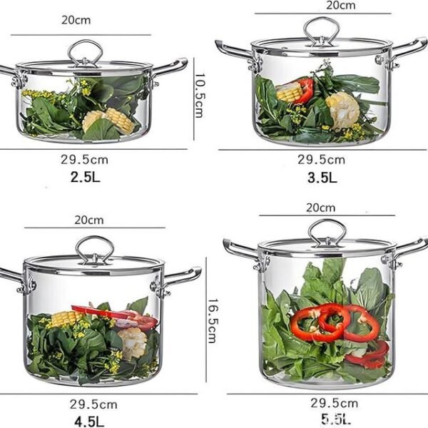 IMG_5243 Olla de vidrio mango metal