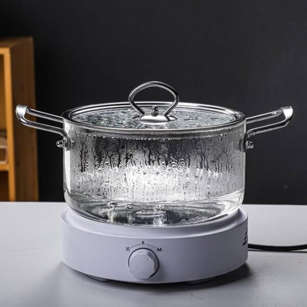 IMG_5249 Olla de vidrio mango metal