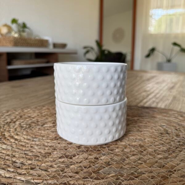 Set x2 bowl New Bone