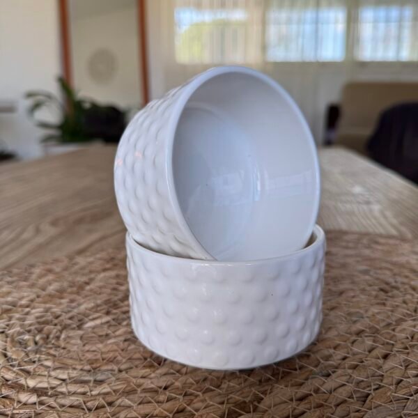 Set x2 bowl New Bone