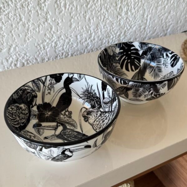 Set x2 bowl tropical