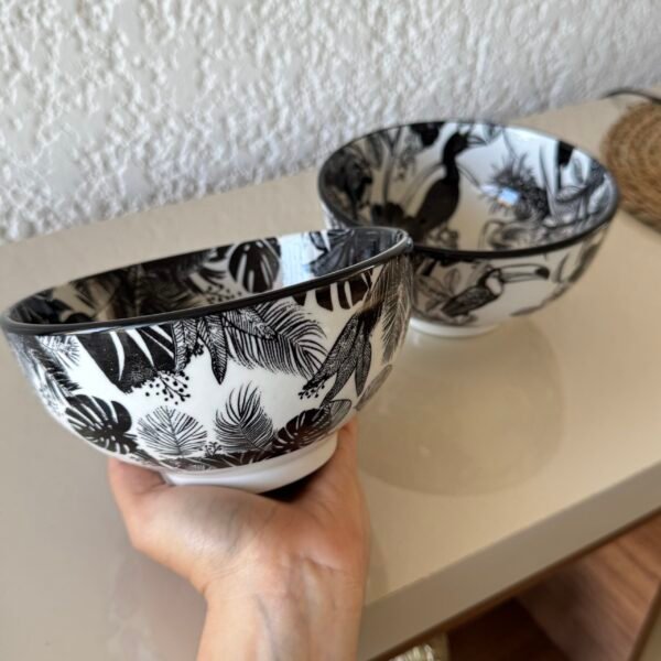 Set x2 bowl tropical