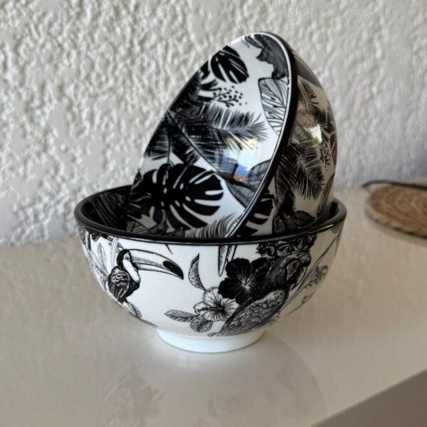 Set x2 bowl tropical