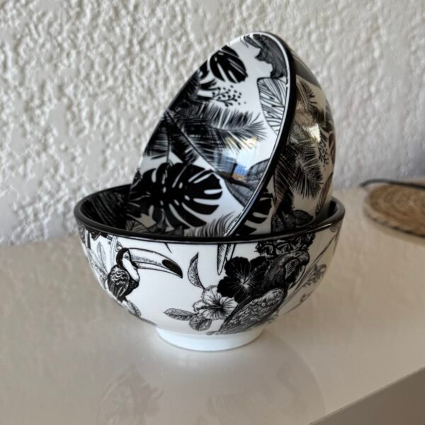 Set x2 bowl tropical