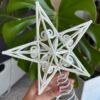 Puntero estrella brillante
