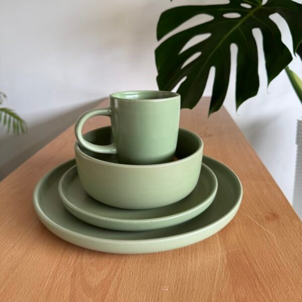 IMG_6151 Juego de vajilla Salvia 16 piezas