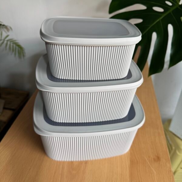 Set de recipientes x3