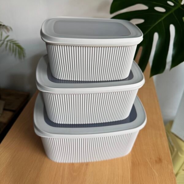 Set de recipientes x3