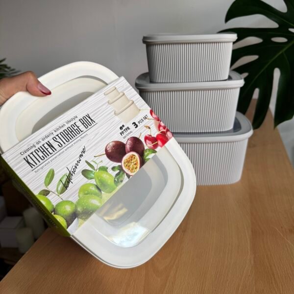 Set de recipientes x3