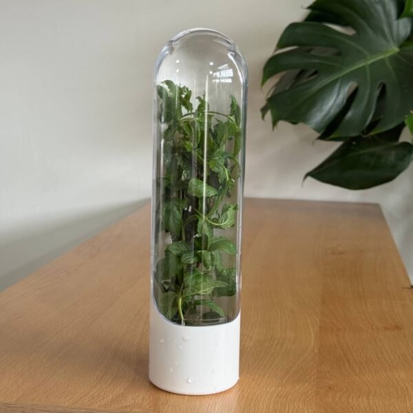 Contenedor de almacenamiento para hierbas