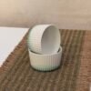 Set x2 bowl de ceramica fondo verde